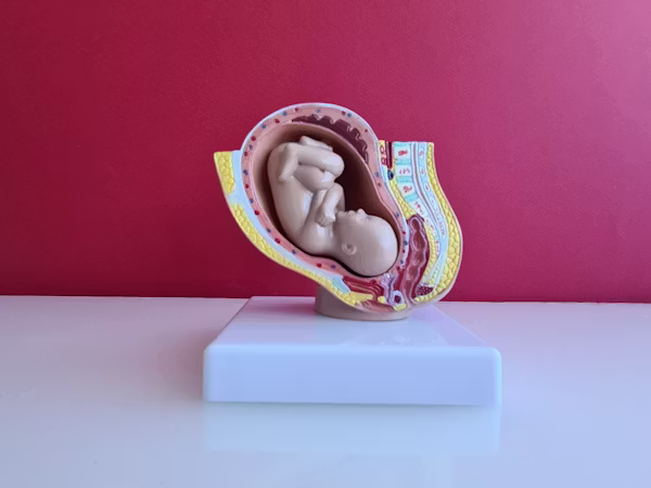 Gynaecology